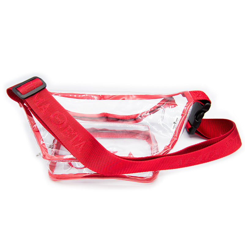 ΔΣΘ Clear Fanny Pack Waist Bag