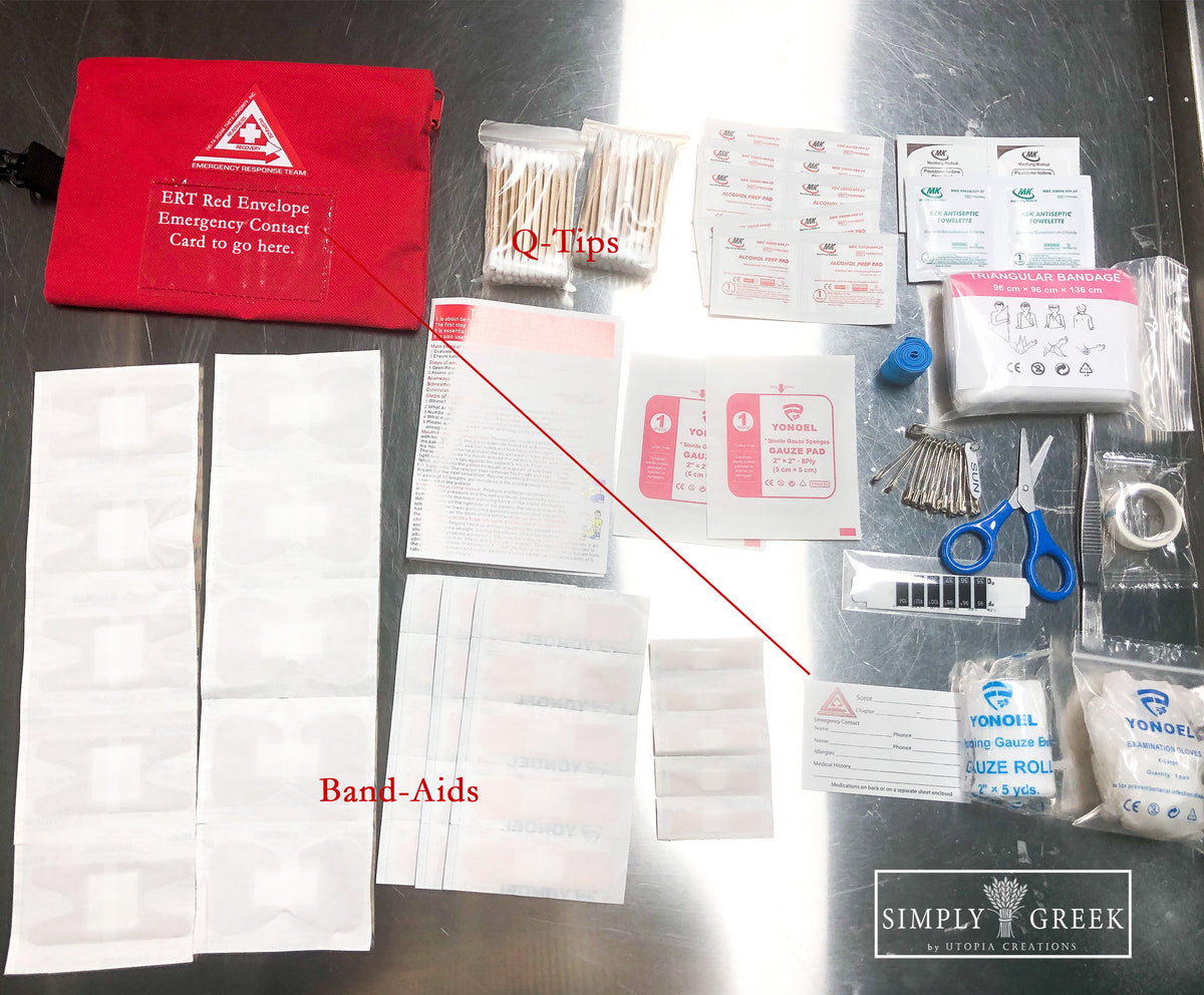 Delta Sigma Theta Emergency Travel First Aid Kit – Crimson Diva Collective