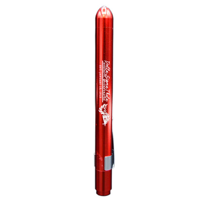 Delta Sigma Theta Pen Light