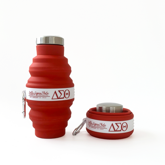 Collapsible Water Bottle with Carabiner